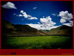 IMG_0090 copy