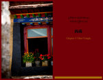 IMG_1595 copy