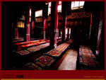 IMG_1653 copy