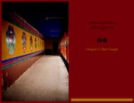 IMG_1696 copy