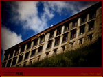 IMG_1782 copy