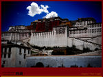 IMG_8279 copy