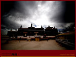 IMG_8810 copy