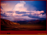IMG_0899 copy