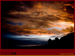 IMG_0908 copy