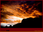 IMG_0910 copy