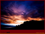 IMG_0913 copy