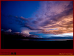 IMG_0914 copy