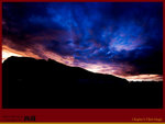 IMG_0929 copy