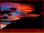 IMG_0951 copy
