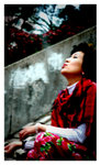 DSC_9568 copy