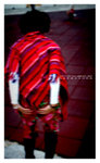 DSC_9588 copy