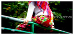 DSC_9598 copy