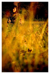 IMG_4426 copy