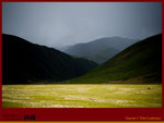 IMG_0476 copy