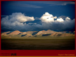 IMG_0865 copy