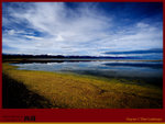 IMG_1214 copy