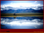 IMG_1296 copy