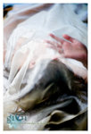 _MG_1995 copy