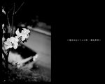 IMG_2741 copy