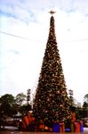05DEC1-22