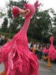 IMG_1379