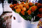 06FEB-APR16LCA