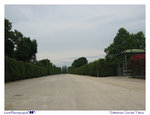 IMG075