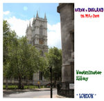 DSCN0890