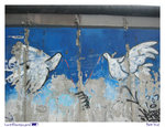 DSCN0638