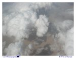 IMG003