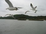 100-0090_IMG