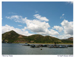 Lamma02