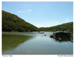 Lamma19
