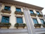 IMG_0696