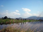 IMG_0935