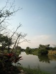 IMG_0937