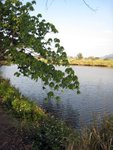 IMG_0939