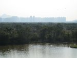 IMG_0946