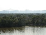 IMG_0947