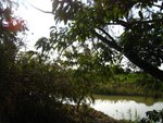 IMG_0955