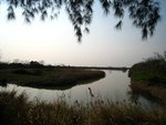 IMG_0960