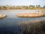 IMG_0971