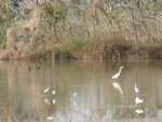 IMG_0972