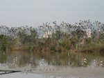 IMG_0973