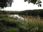 IMG_0986