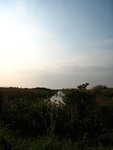 IMG_0987