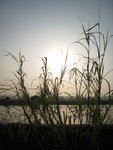 IMG_0794