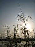 IMG_0796