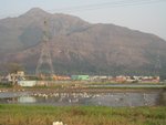 IMG_0810